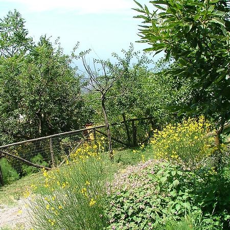Agriturismo La Ginestra Villa Vico Equense Exterior foto
