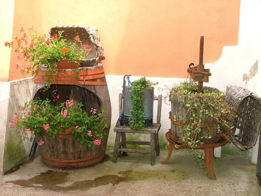 Agriturismo La Ginestra Villa Vico Equense Habitación foto