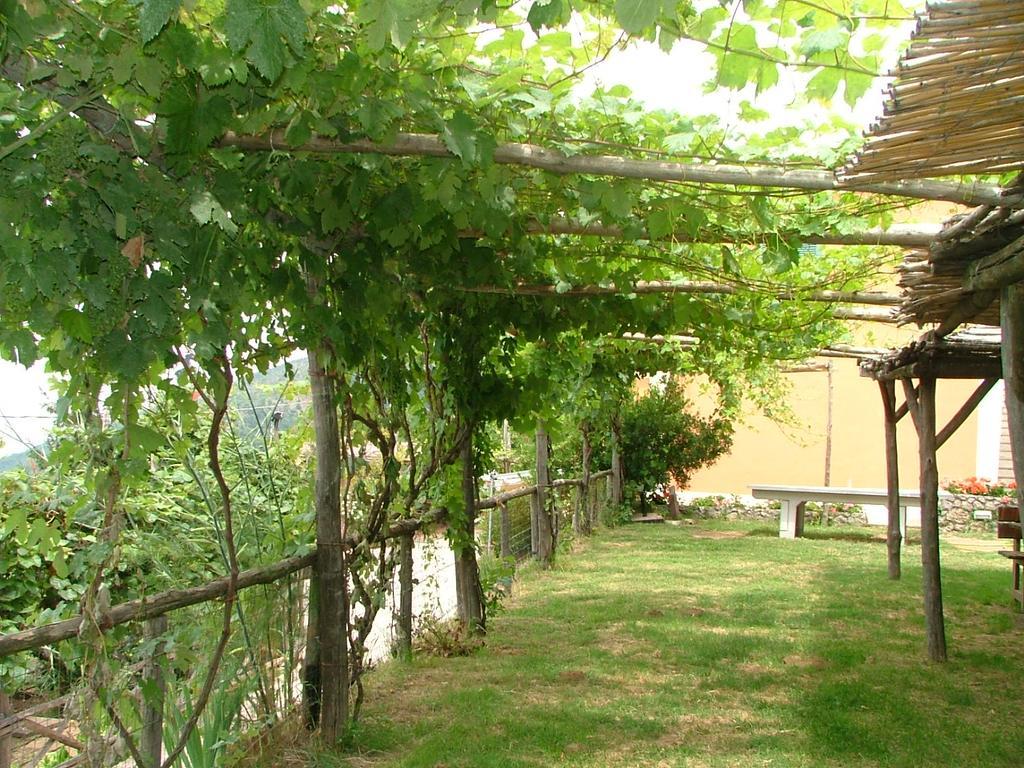 Agriturismo La Ginestra Villa Vico Equense Exterior foto