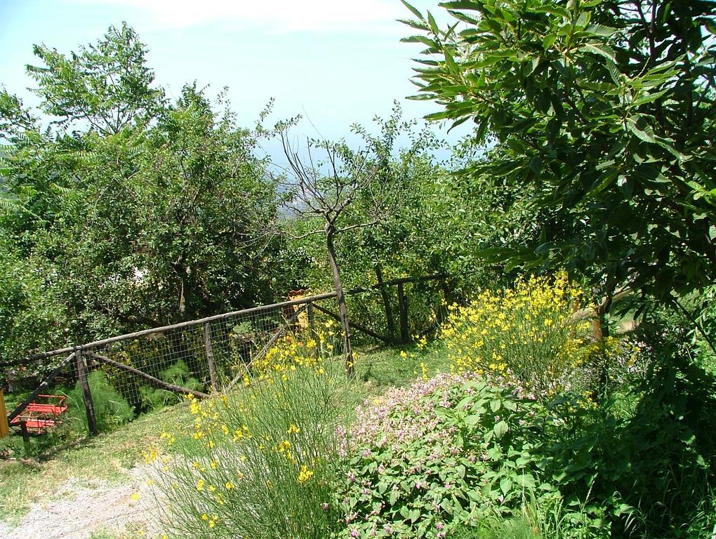 Agriturismo La Ginestra Villa Vico Equense Exterior foto